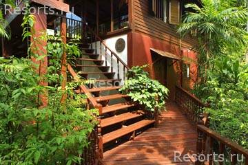 Coconut Grove 24